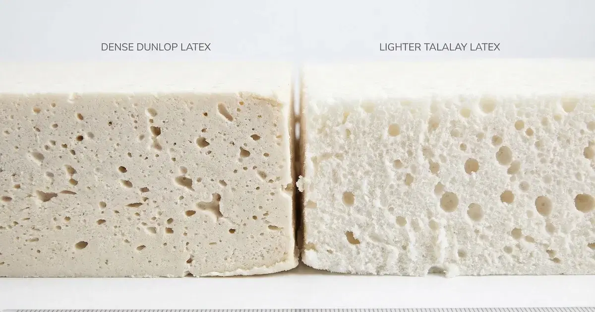 Latex Dunlop vs Talalay : Différences & Guide 2026