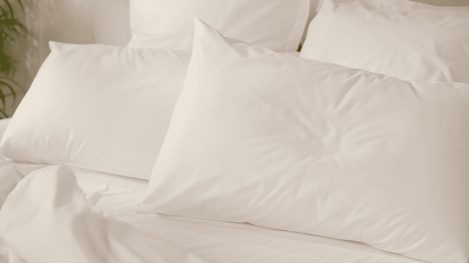 Taies d'oreiller Percale de Coton Emma x2 — visuel complémentaire